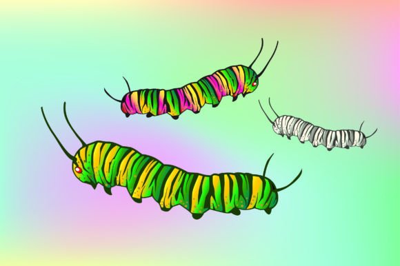 Evaluating Caterpillars Vector Illustrations for Professional Design Workflows