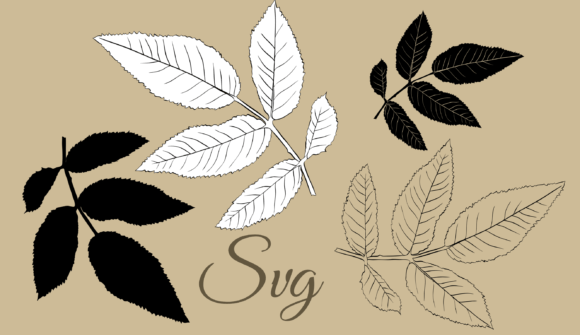 Leaves Minimalism: Evaluating Rose Leaf SVGs for Design Projects